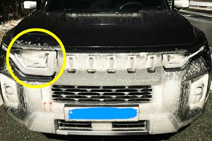 토레스눈