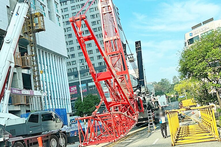 불법인데 단속·처벌 없다? 도로 위에 자주 보이는 '이것' 대체 뭐길래…